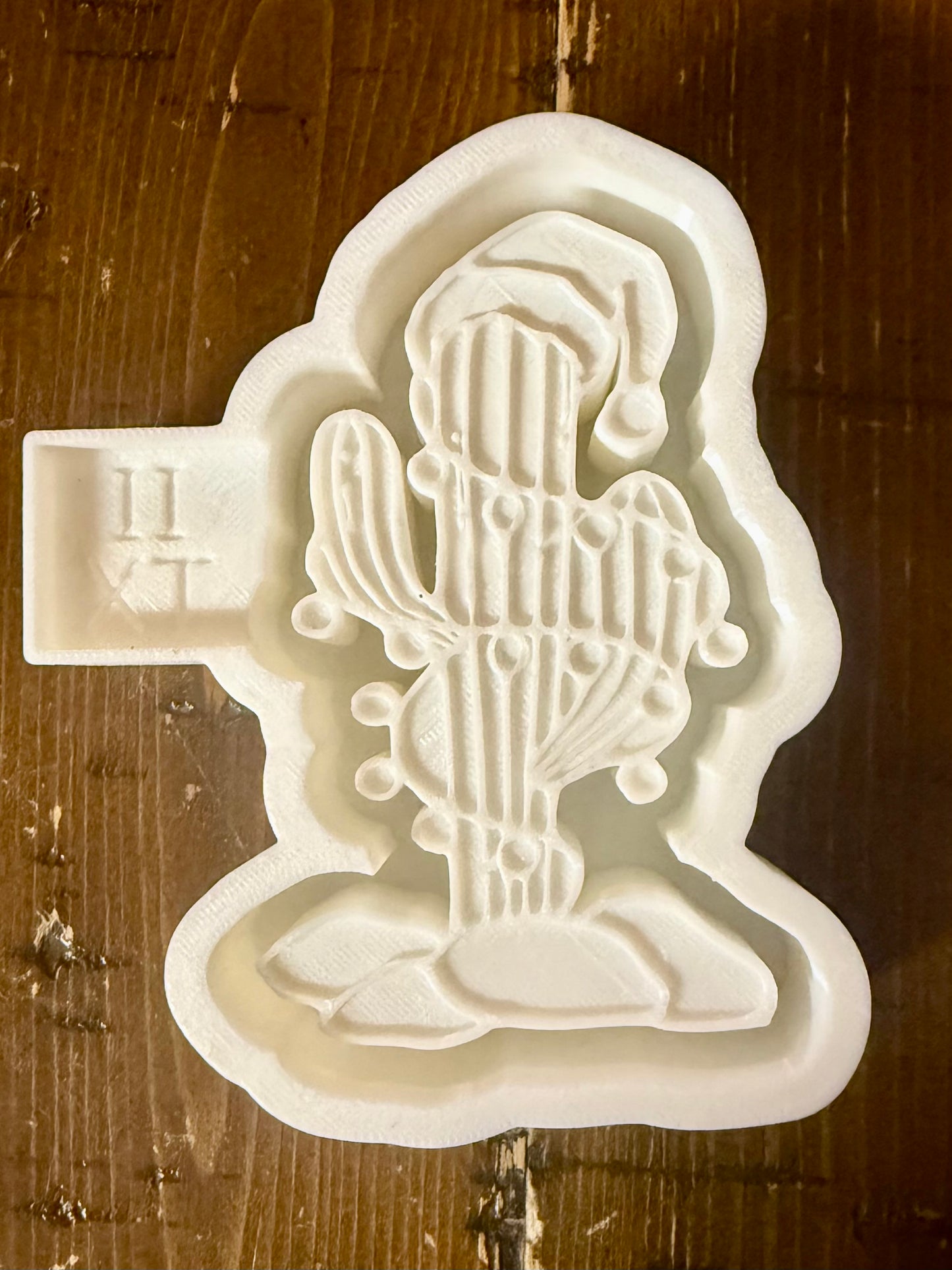 Lighted Christmas Cactus